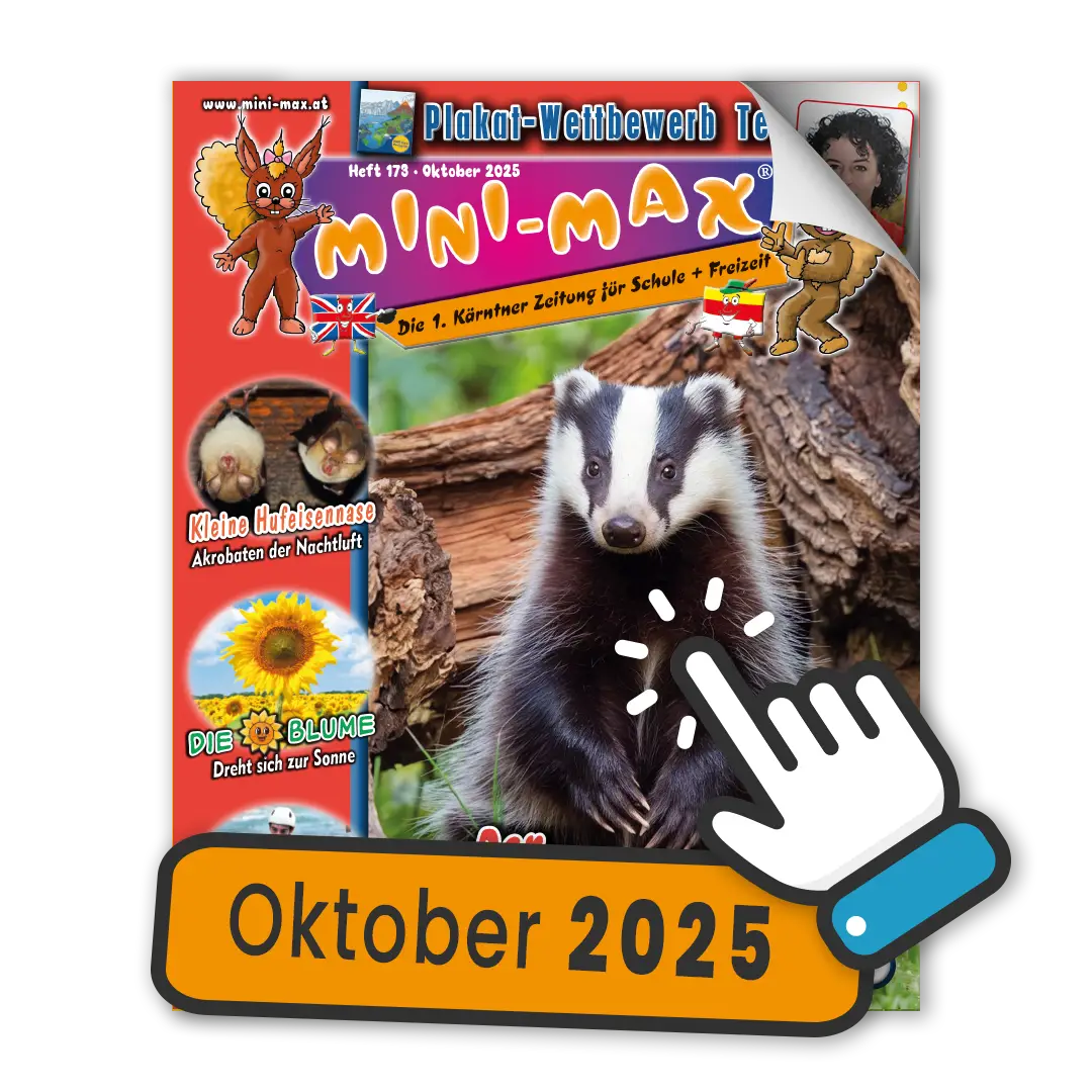 MINI-MAX-Heft 173, Oktober 2025