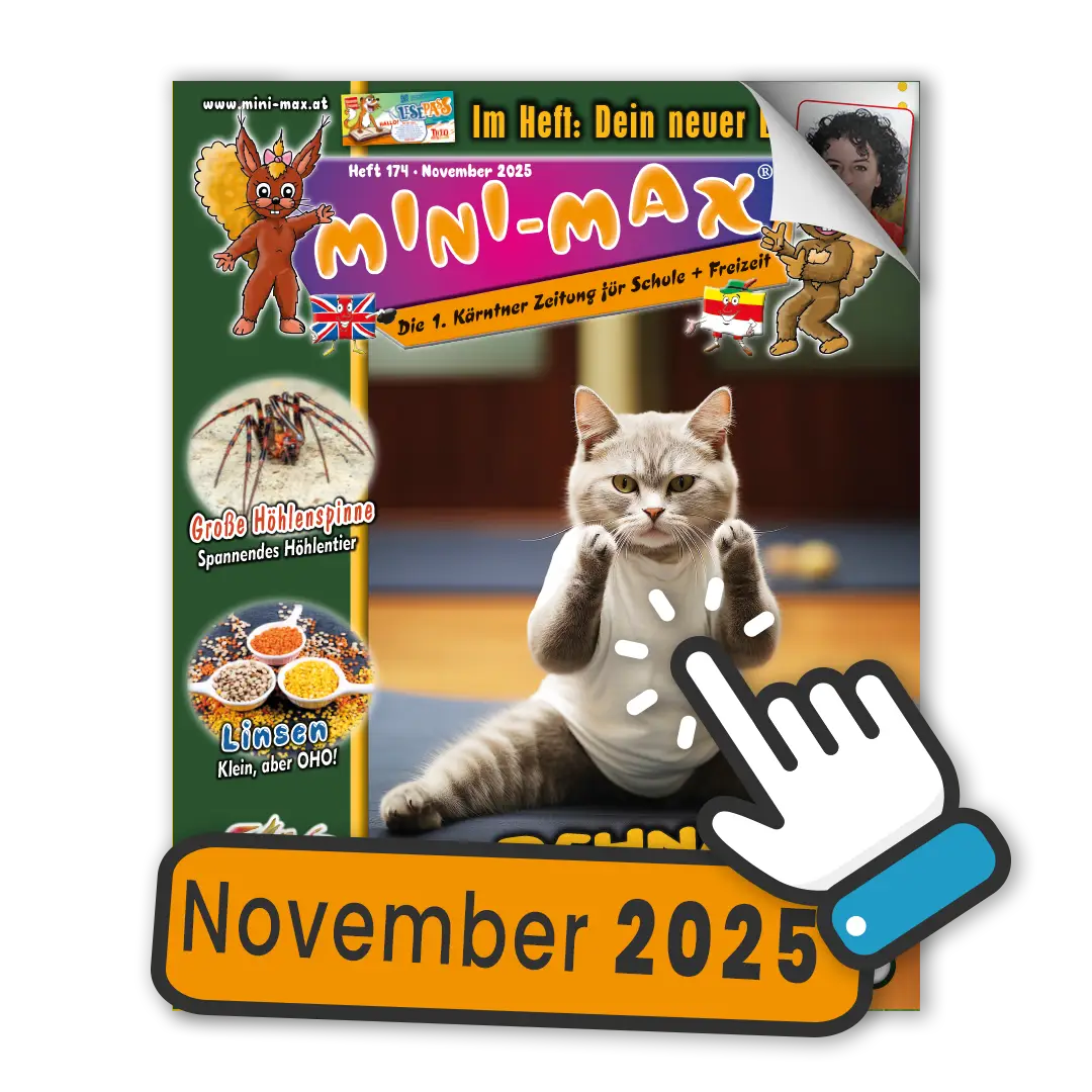 MINI-MAX 174, November 2025