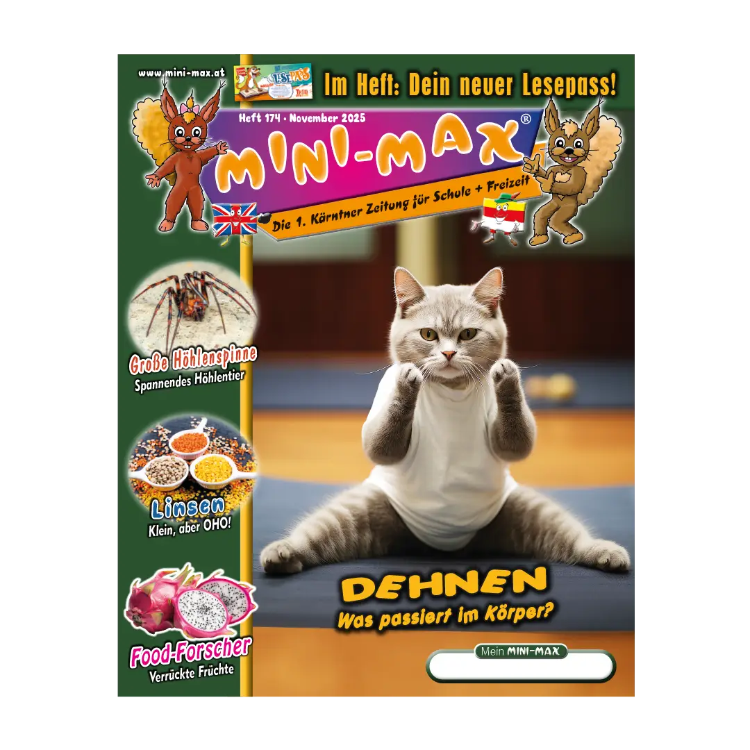 MINI-MAX 174, November 2025