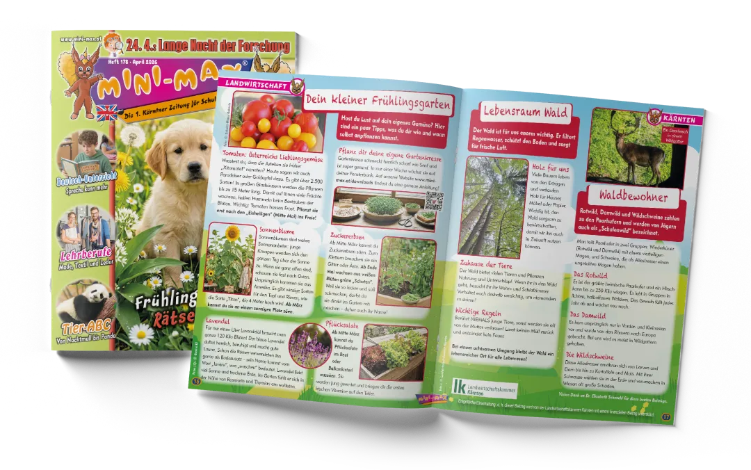 MINI-MAX-Heft 178 -2026, Download: Kresseaufzucht