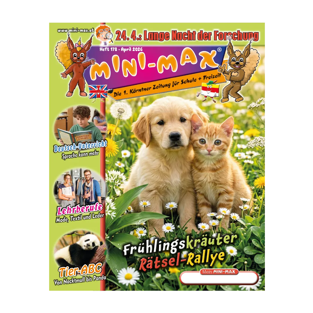 MINI-MAX-Heft 178 -2026